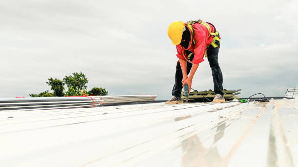 Best Solar Panel Roofing Installation  in Cottonwood Shores, TX